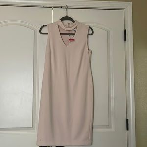 Light Pink Calvin Klein Dress